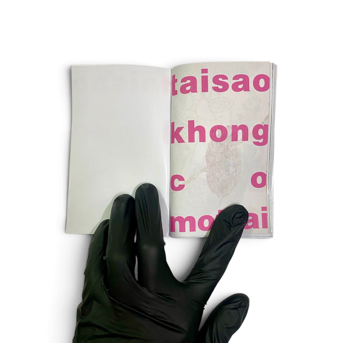 Taisaokhongcomotai Mini Zine