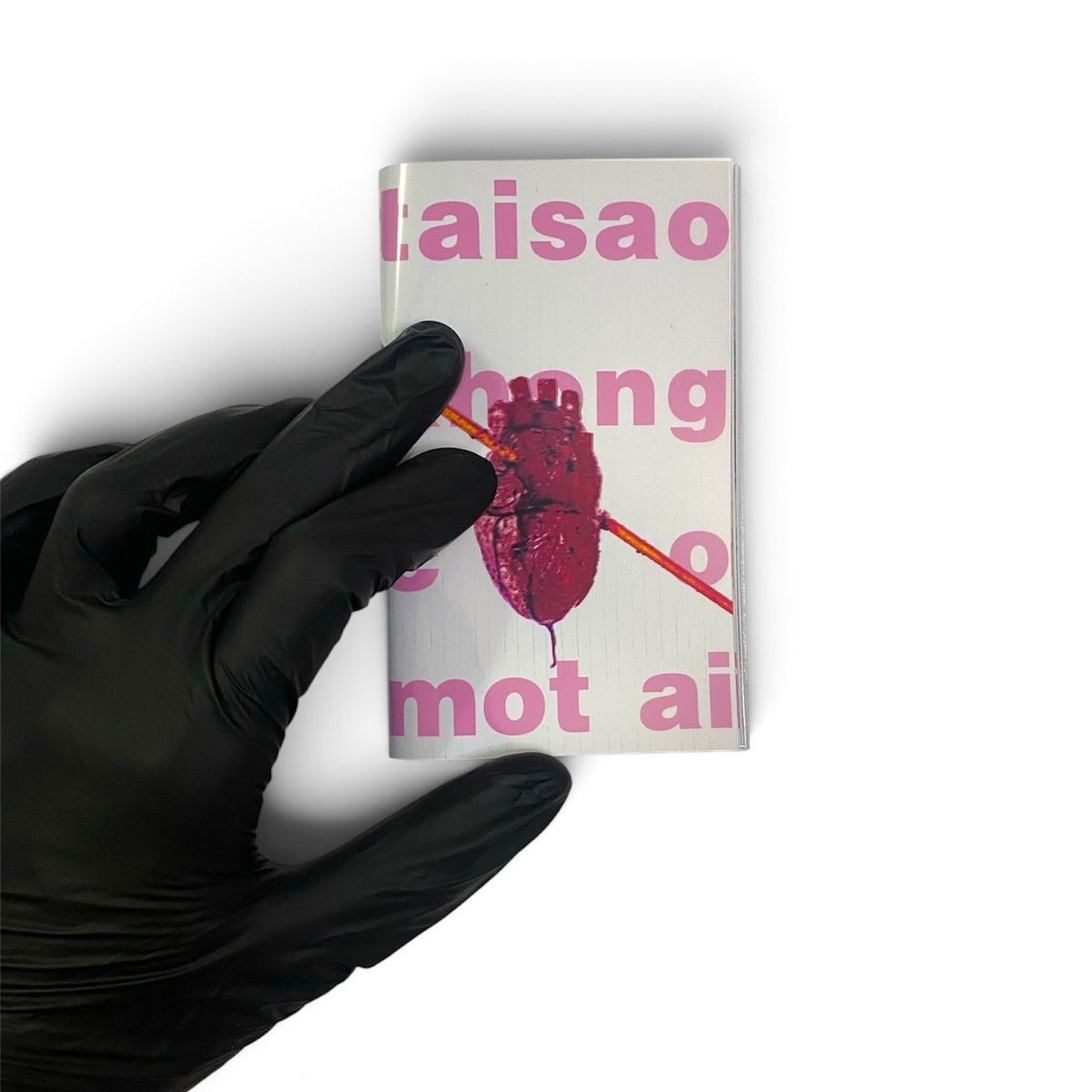 Taisaokhongcomotai Mini Zine